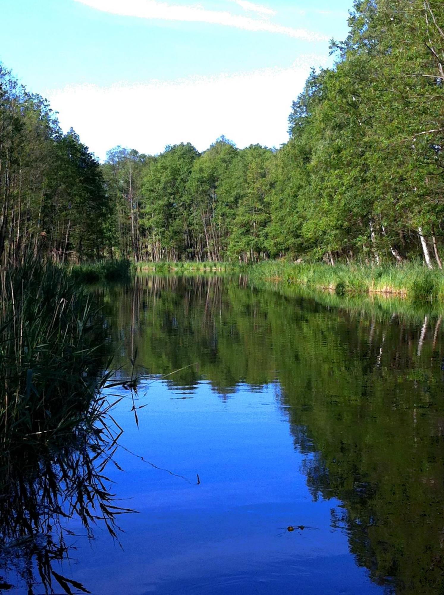 Hotel Osrodek Wypoczynkowo-Turystyczny Perla Krutyni Nowy Most Esterno foto