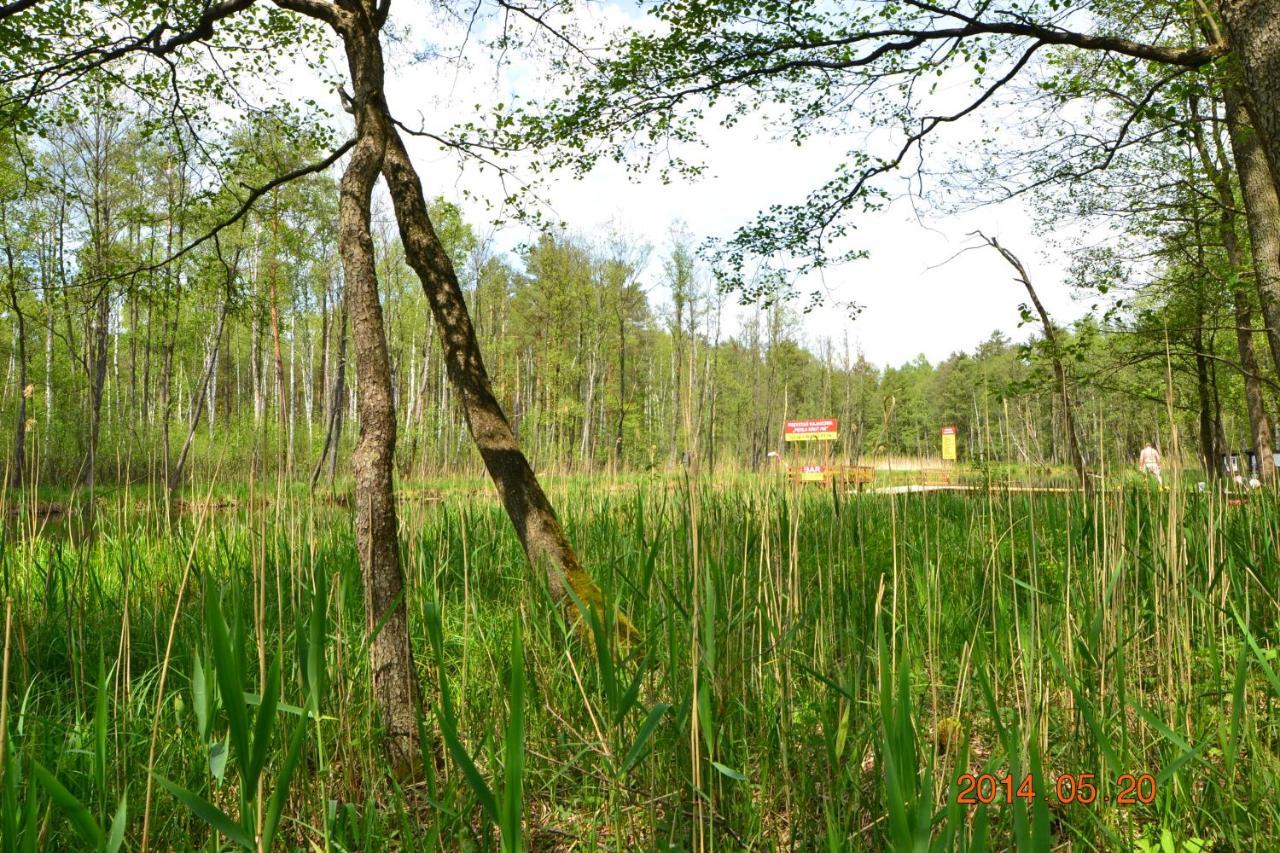 Hotel Osrodek Wypoczynkowo-Turystyczny Perla Krutyni Nowy Most Esterno foto