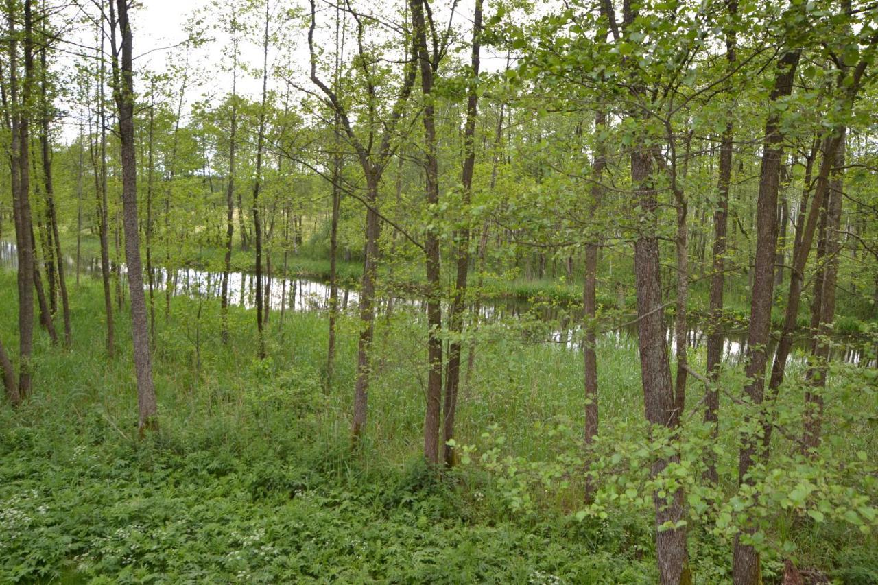 Hotel Osrodek Wypoczynkowo-Turystyczny Perla Krutyni Nowy Most Esterno foto